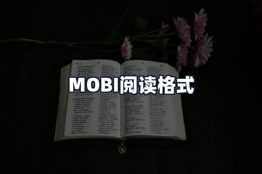MOBI阅读格式